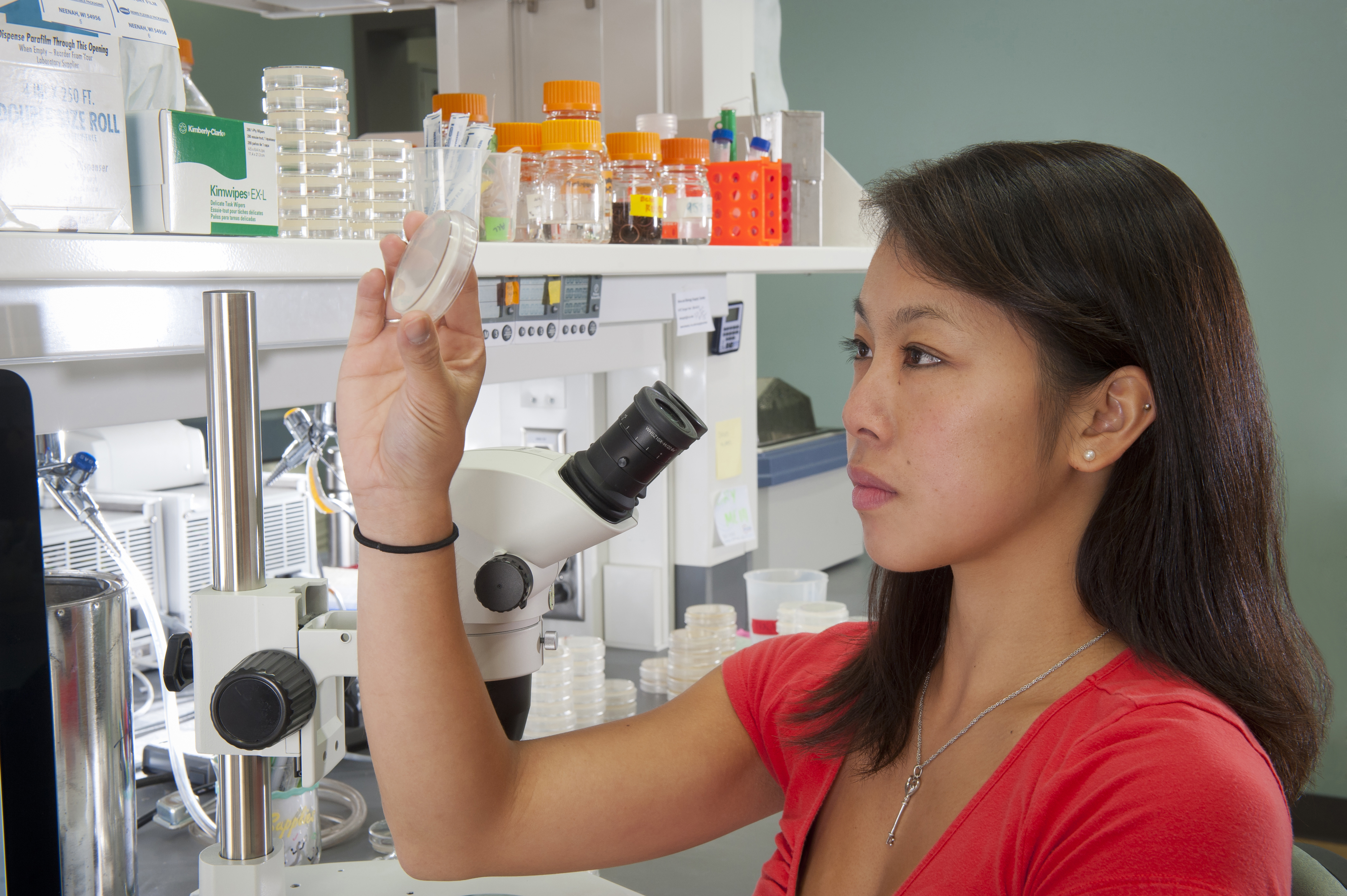 Master of Science in Pharmacology and Toxicology