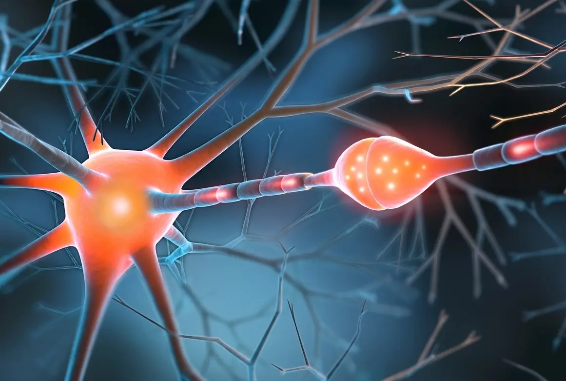Jayanthi and Ramamoorthy develop potential therapeutic strategy for treating cocaine use disorder